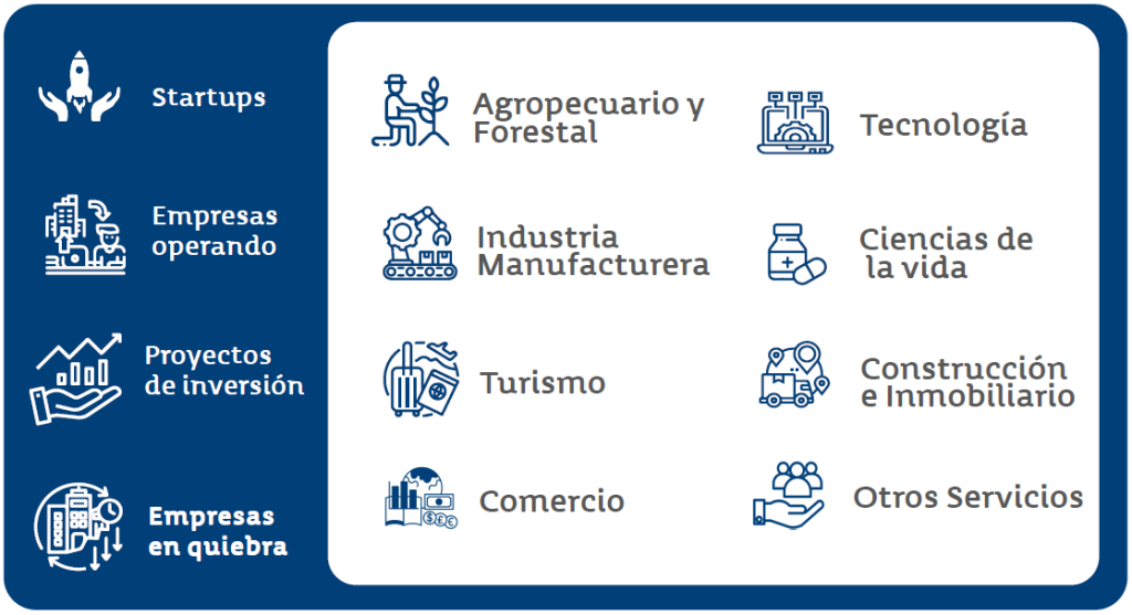 cartera de inversiones web 2024